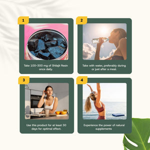 Shilajit resin goyu supplement superfood