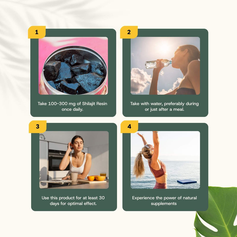 Shilajit resin goyu supplement superfood