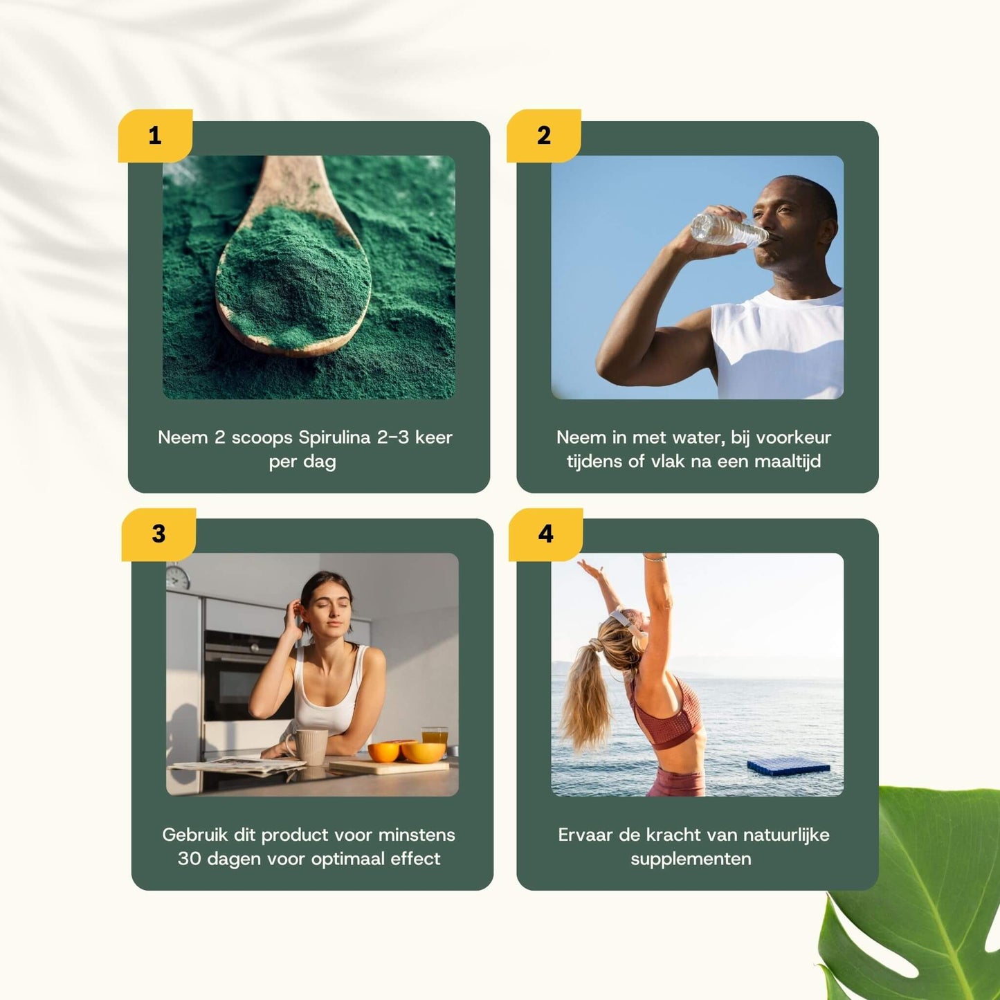 Spirulina poeder goyu supplement superfood