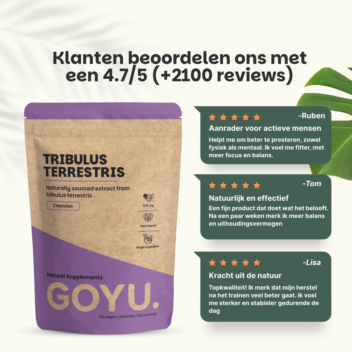 Tribulus Terrestris extract capsules goyu supplement superfood