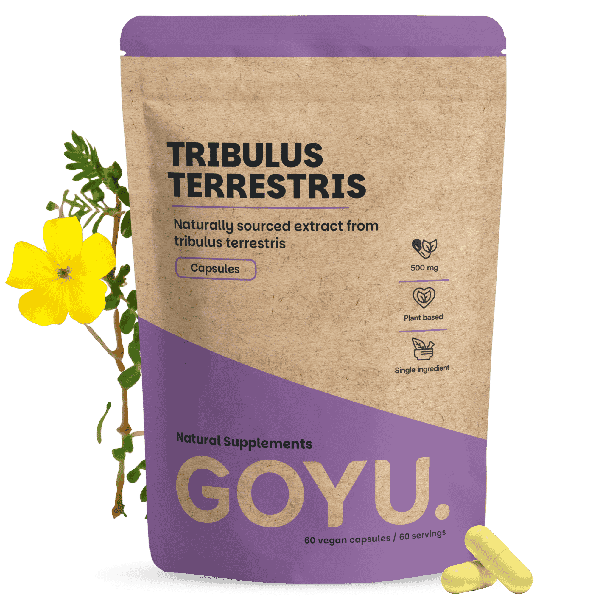 Tribulus Terrestris Extract Capsules 500mg