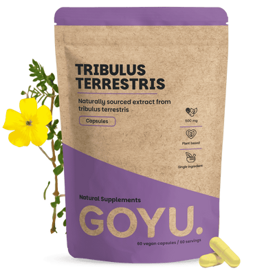 Tribulus Terrestris Extrakt Kapseln 500 mg