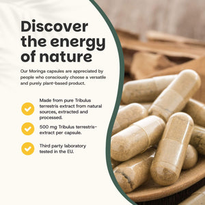 Tribulus Terrestris extract capsules goyu supplement superfood