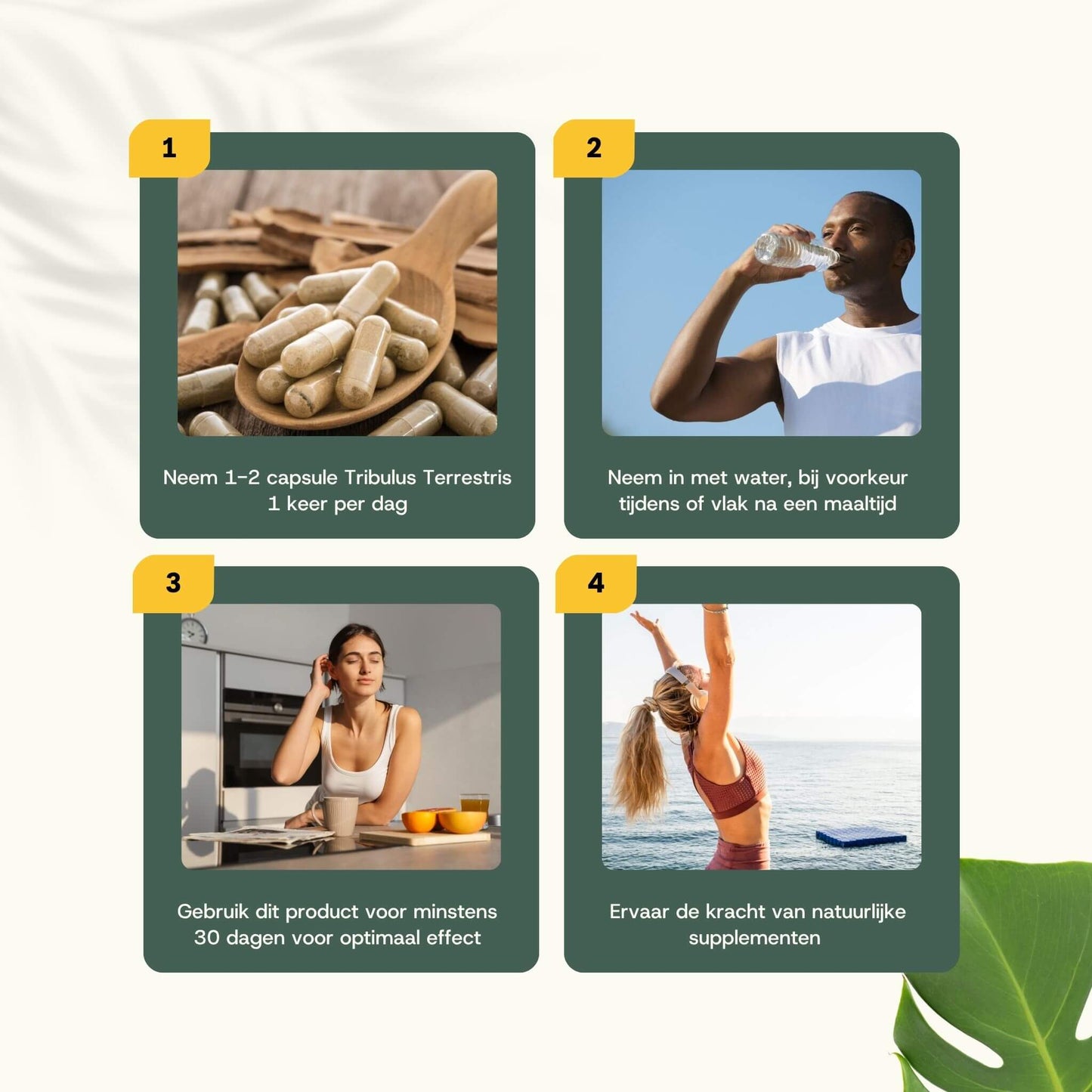 Tribulus Terrestris extract capsules goyu supplement superfood