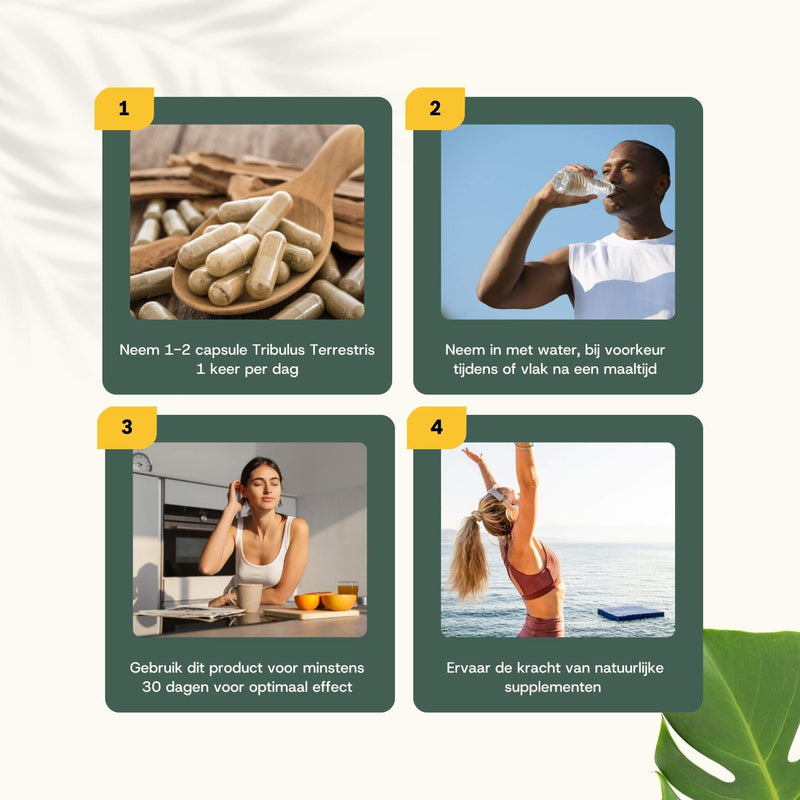 Tribulus Terrestris extract capsules goyu supplement superfood