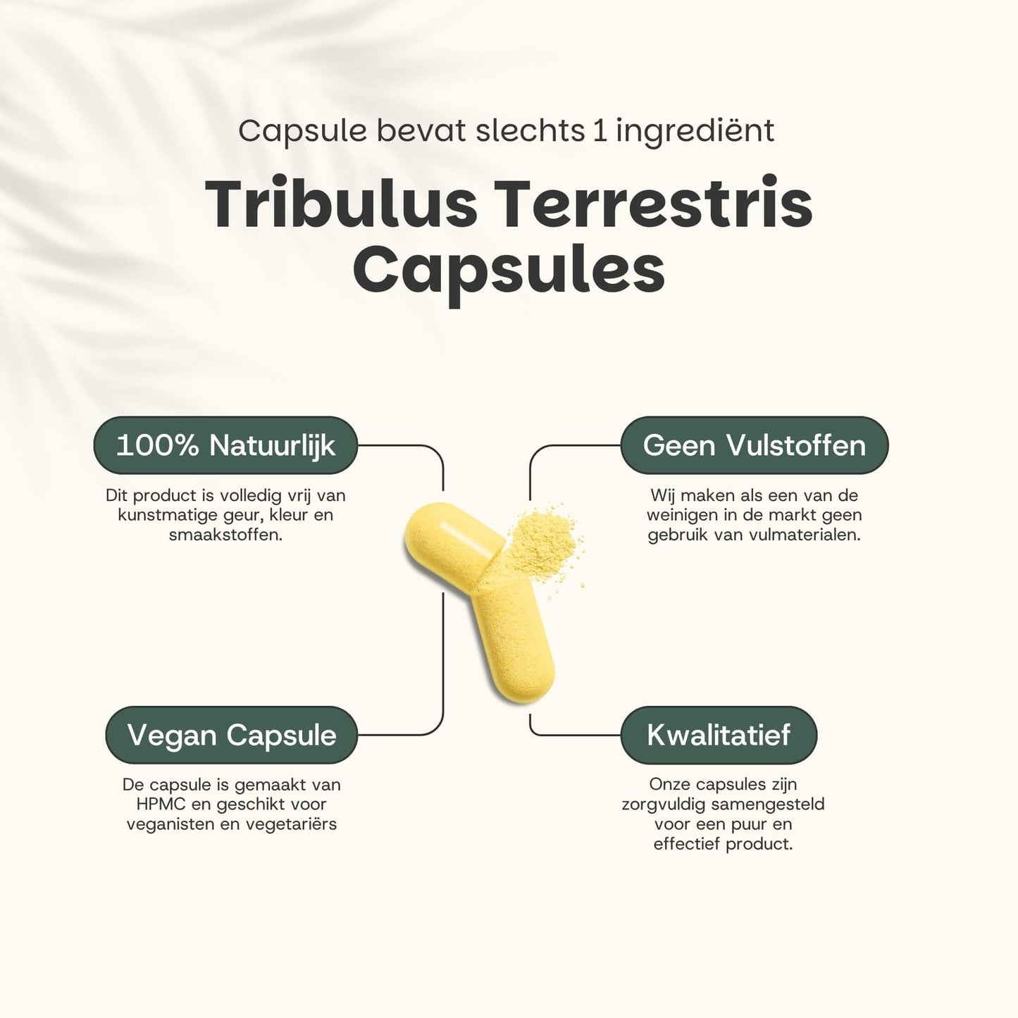 Tribulus Terrestris extract capsules goyu supplement superfood