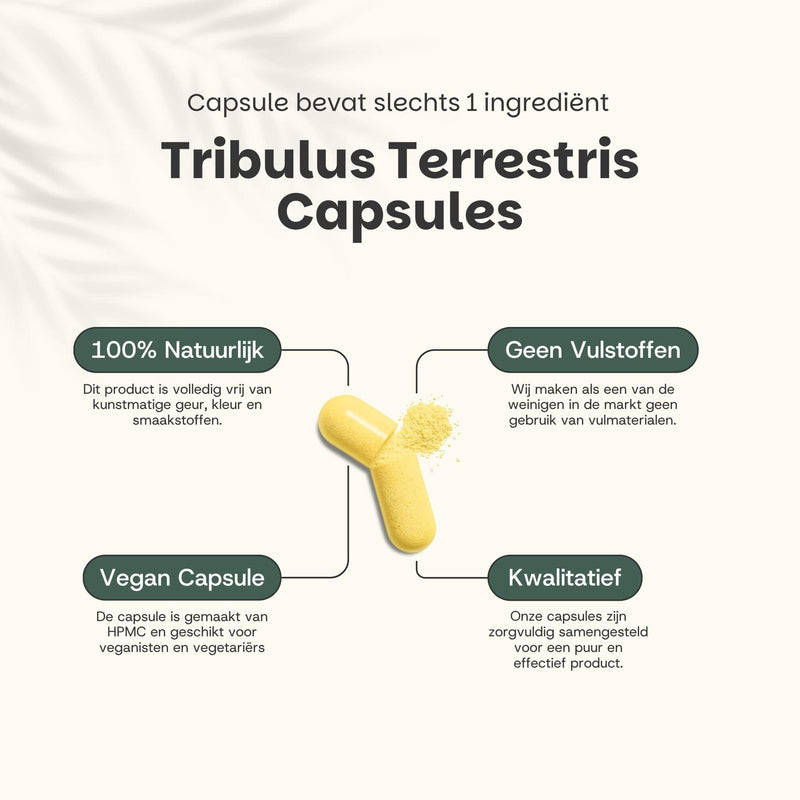 Tribulus Terrestris extract capsules goyu supplement superfood