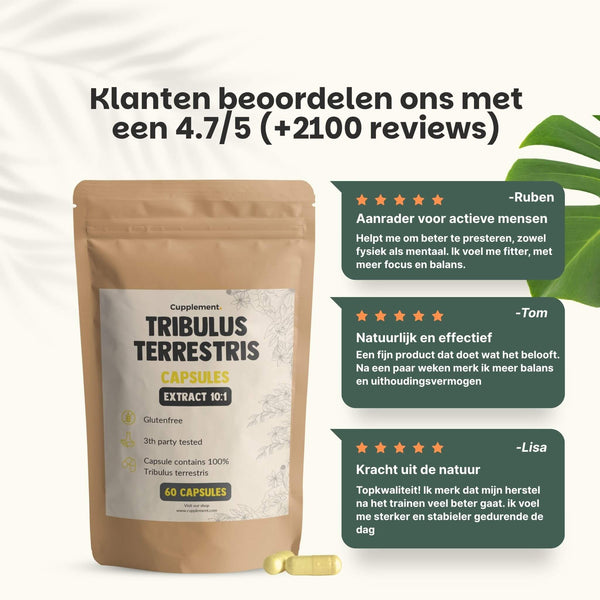 Tribulus Terrestris extract capsules goyu supplement superfood