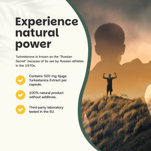 Turkesterone capsules goyu supplement superfood