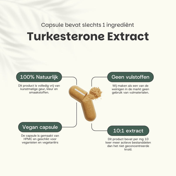 Turkesterone caspules goyu superfood supplement