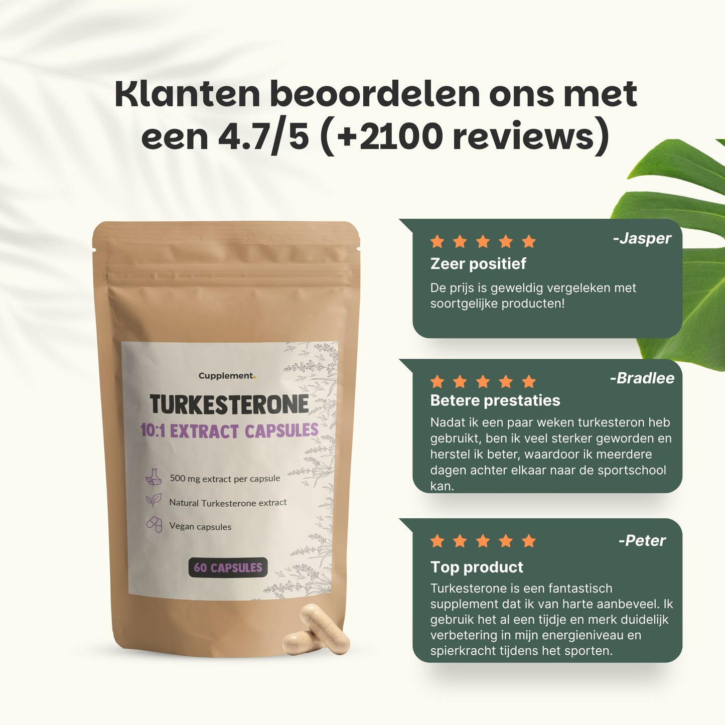 Turkesterone caspules goyu superfood supplement