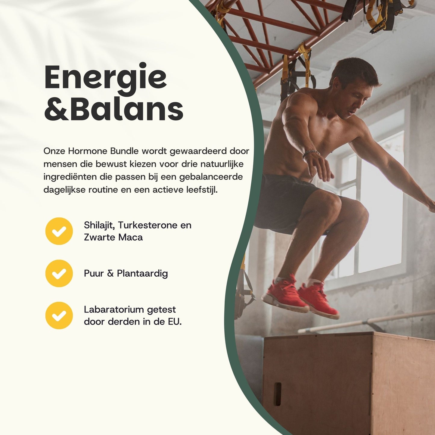 Natural Hormone Bundle 