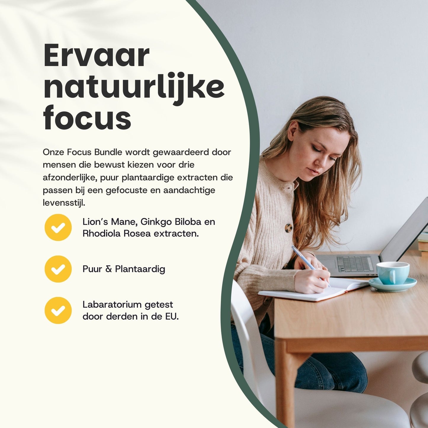 Natural Clear Focus Bundle