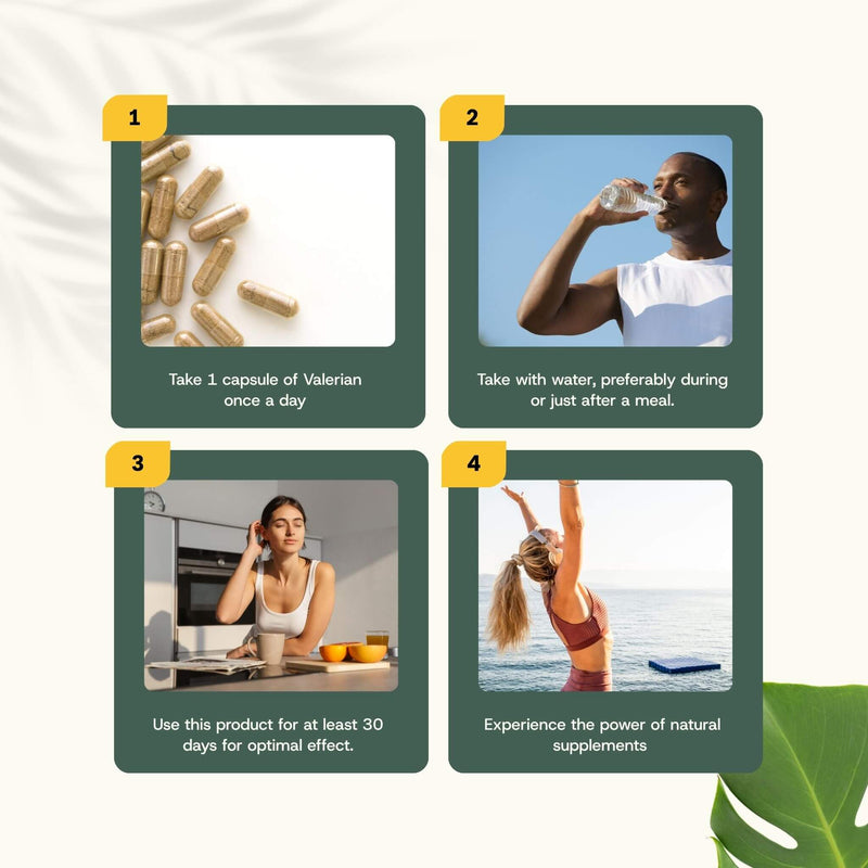 Valerian extract capsules goyu supplement superfood