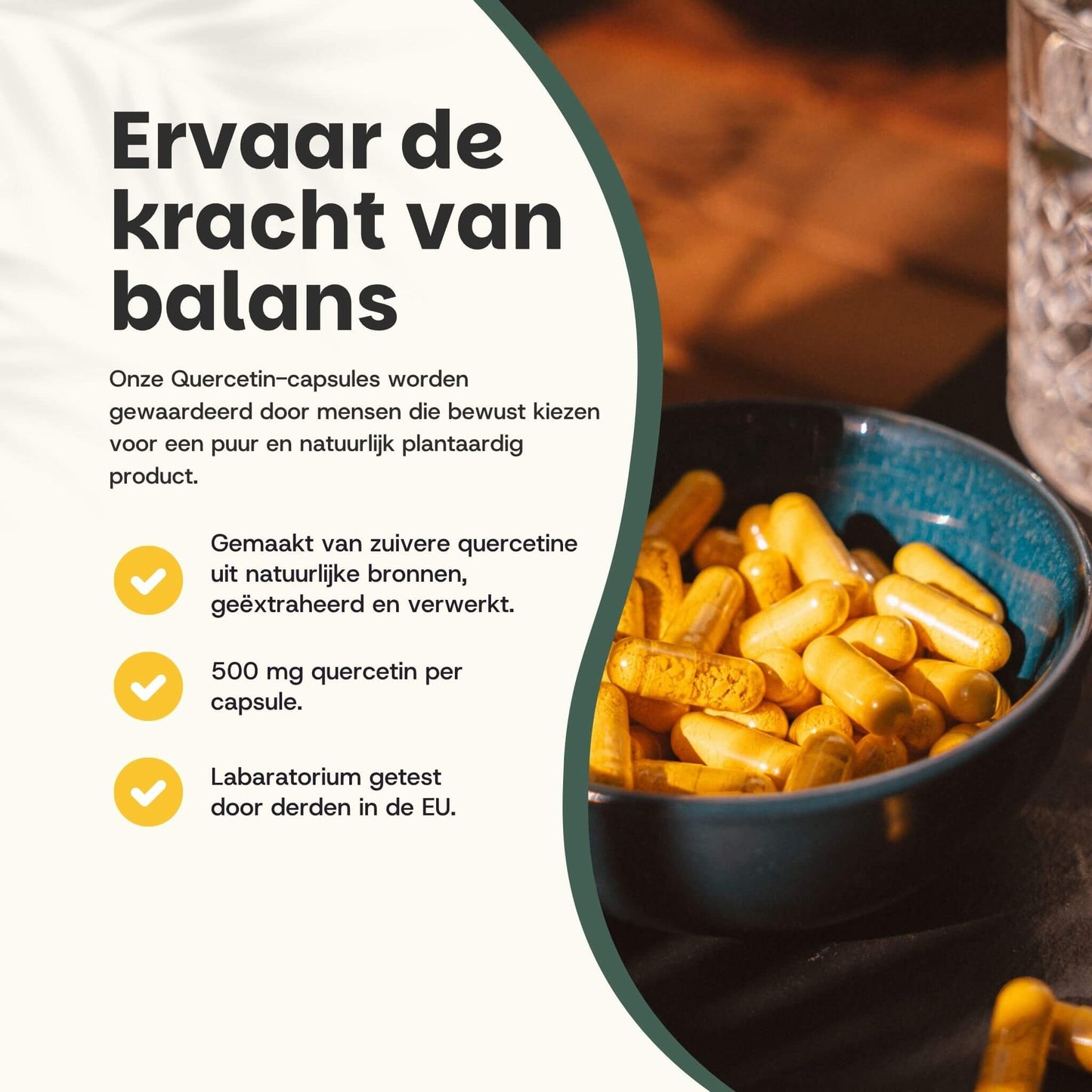 Quercetin Extract Capsules Goyu Supplement Superfood