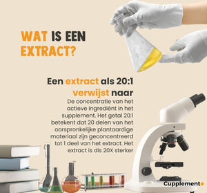 Boswellia Extrakt Kapseln 500 mg