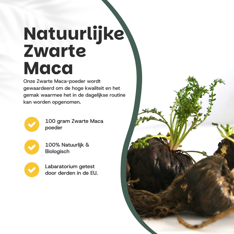 Zwarte Maca Poeder Biologisch