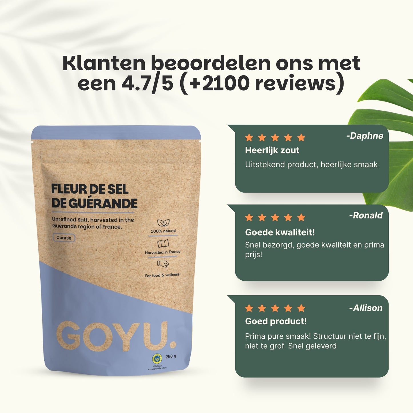 Fleur de Sel de Guérande