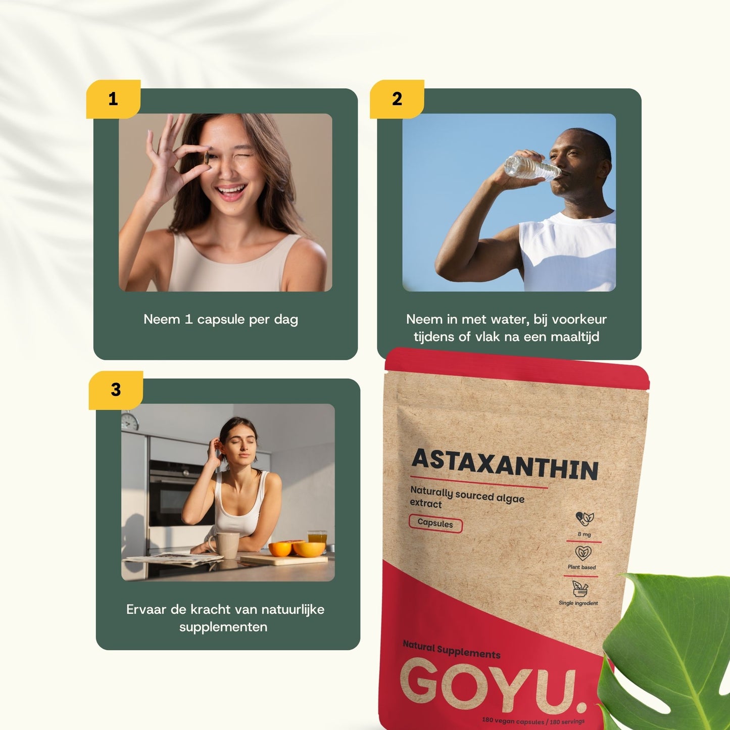 Astaxanthin Kapseln 8 mg