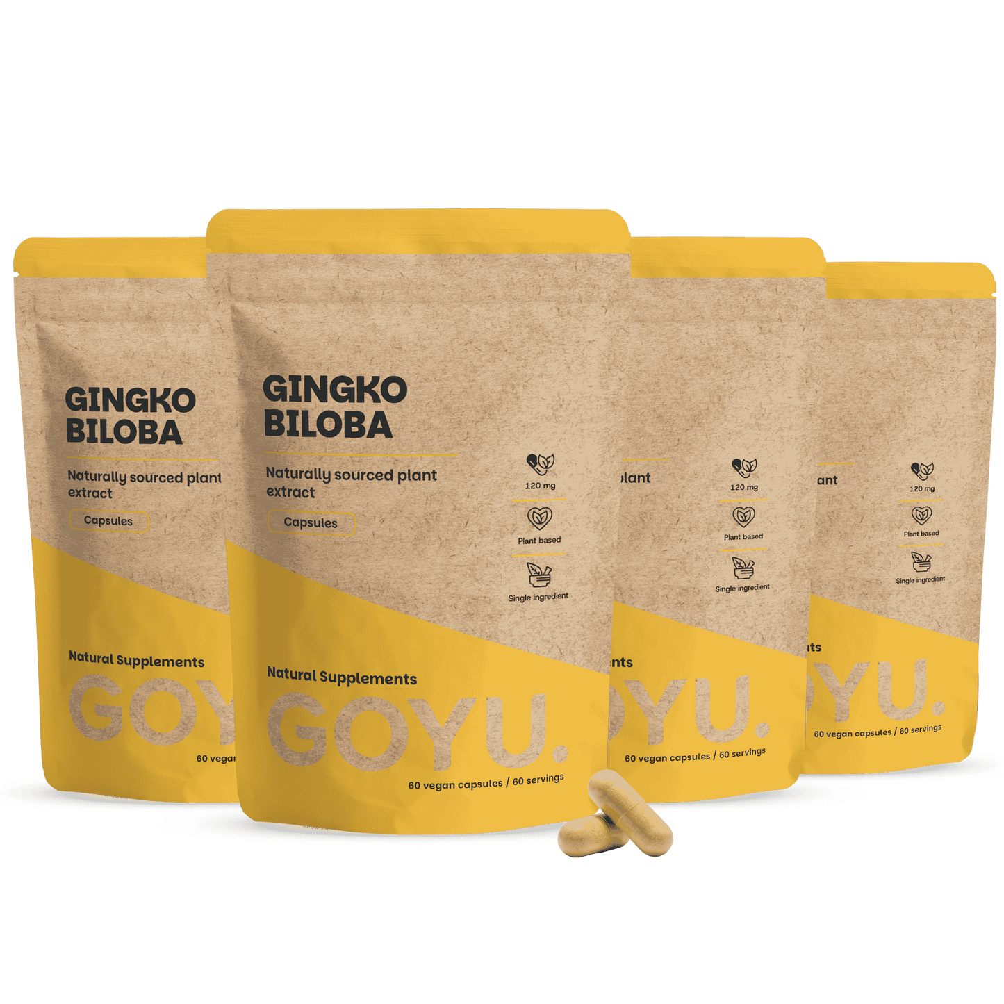 Ginkgo Biloba Kapseln 100 mg