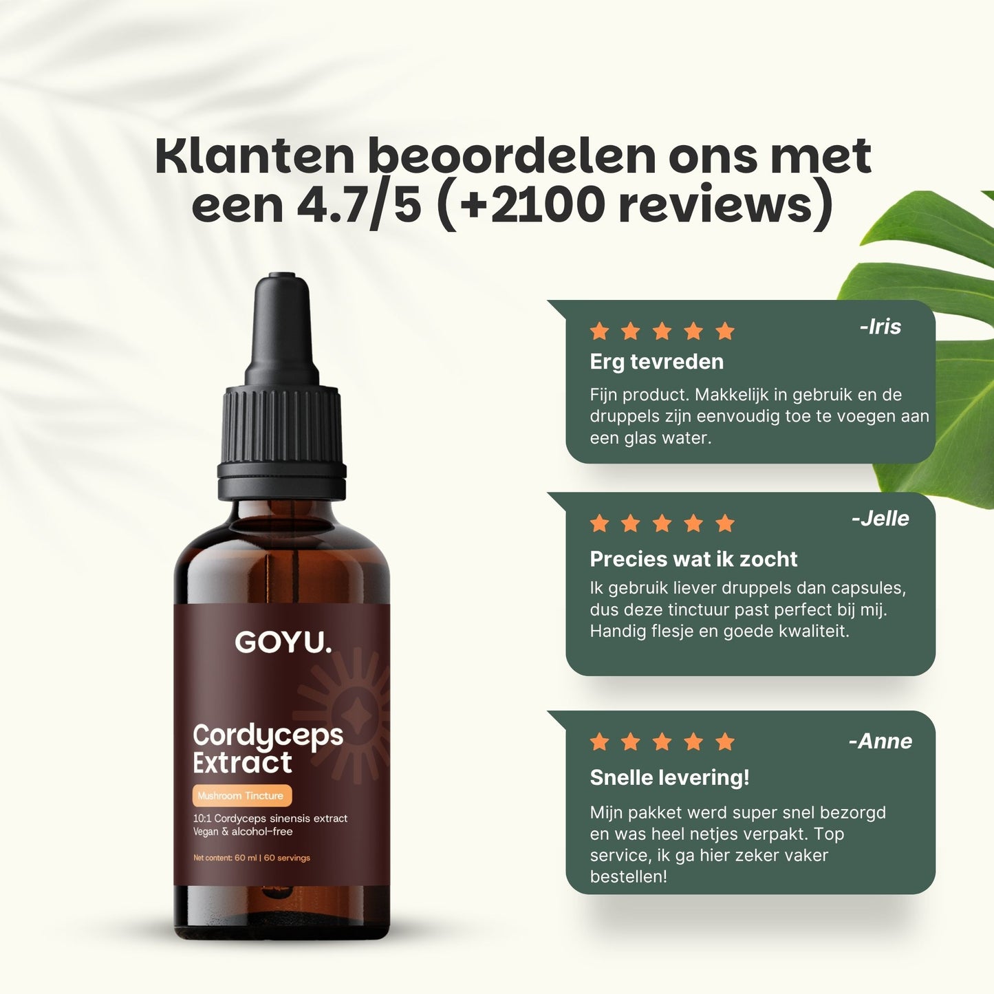 Teinture de Cordyceps