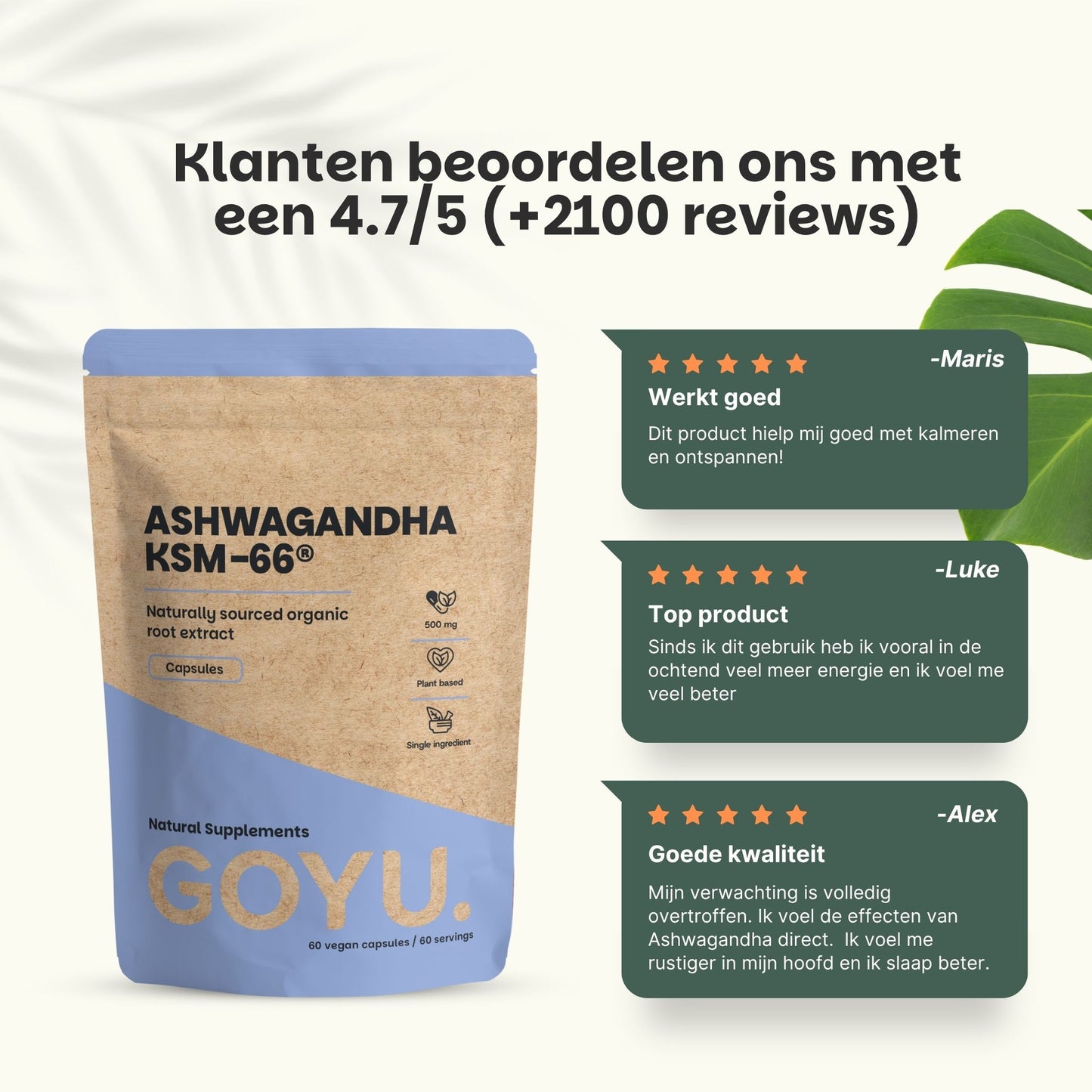 Biologische Ashwagandha KSM-66 extract capsules goyu superfood supplement
