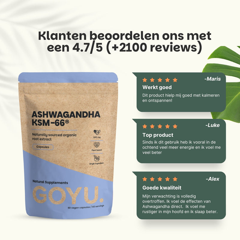 Biologische Ashwagandha KSM-66 extract capsules goyu superfood supplement