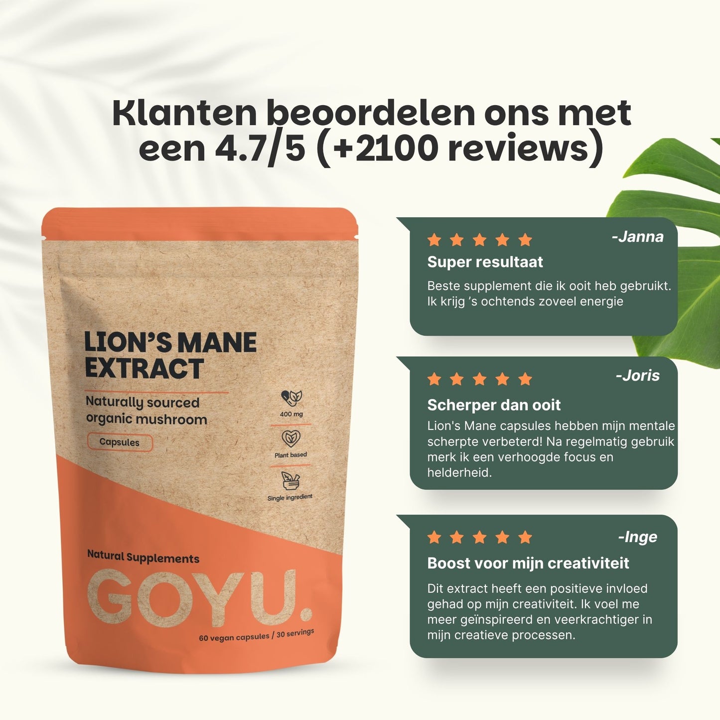 Lions Mane extract capsules goyu superfood supplement