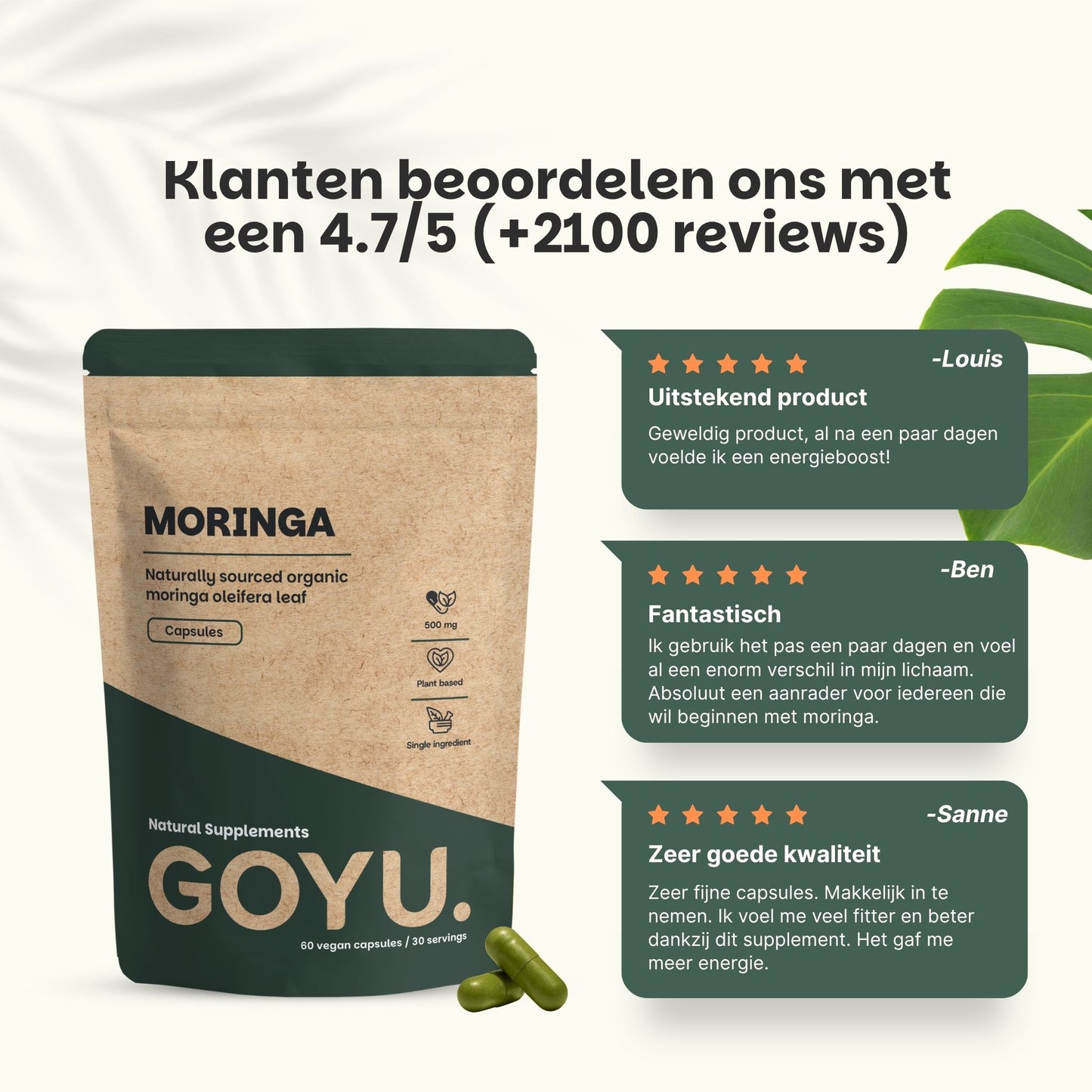 Biologisch Moringa poeder goyu supplement superfood