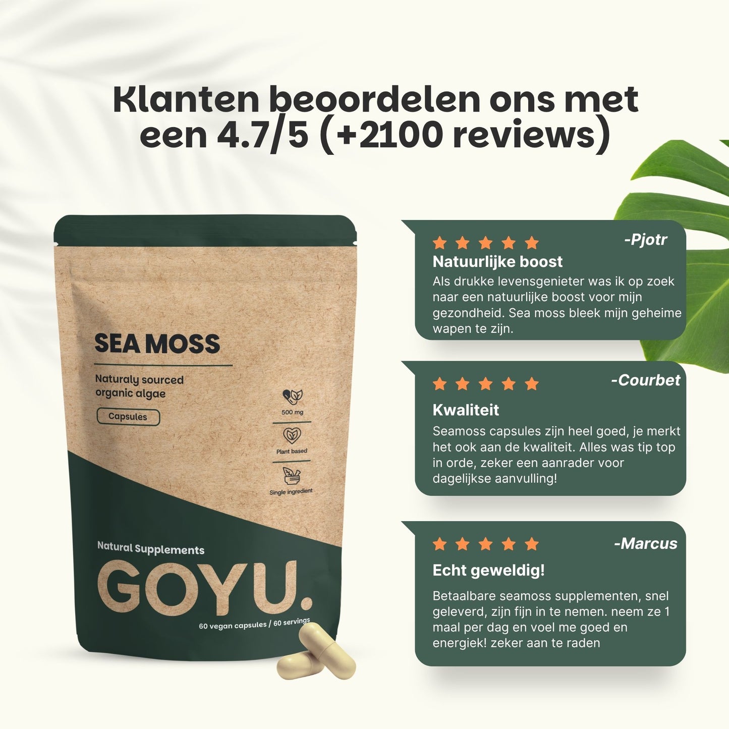 Biologische Sea Moss capsules goyu superfood supplement