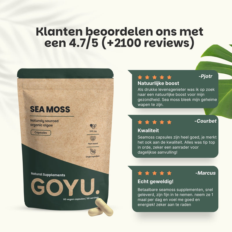 Biologische Sea Moss capsules goyu superfood supplement