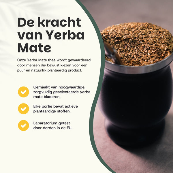 Yerba Mate Tee Set mit Bombilla