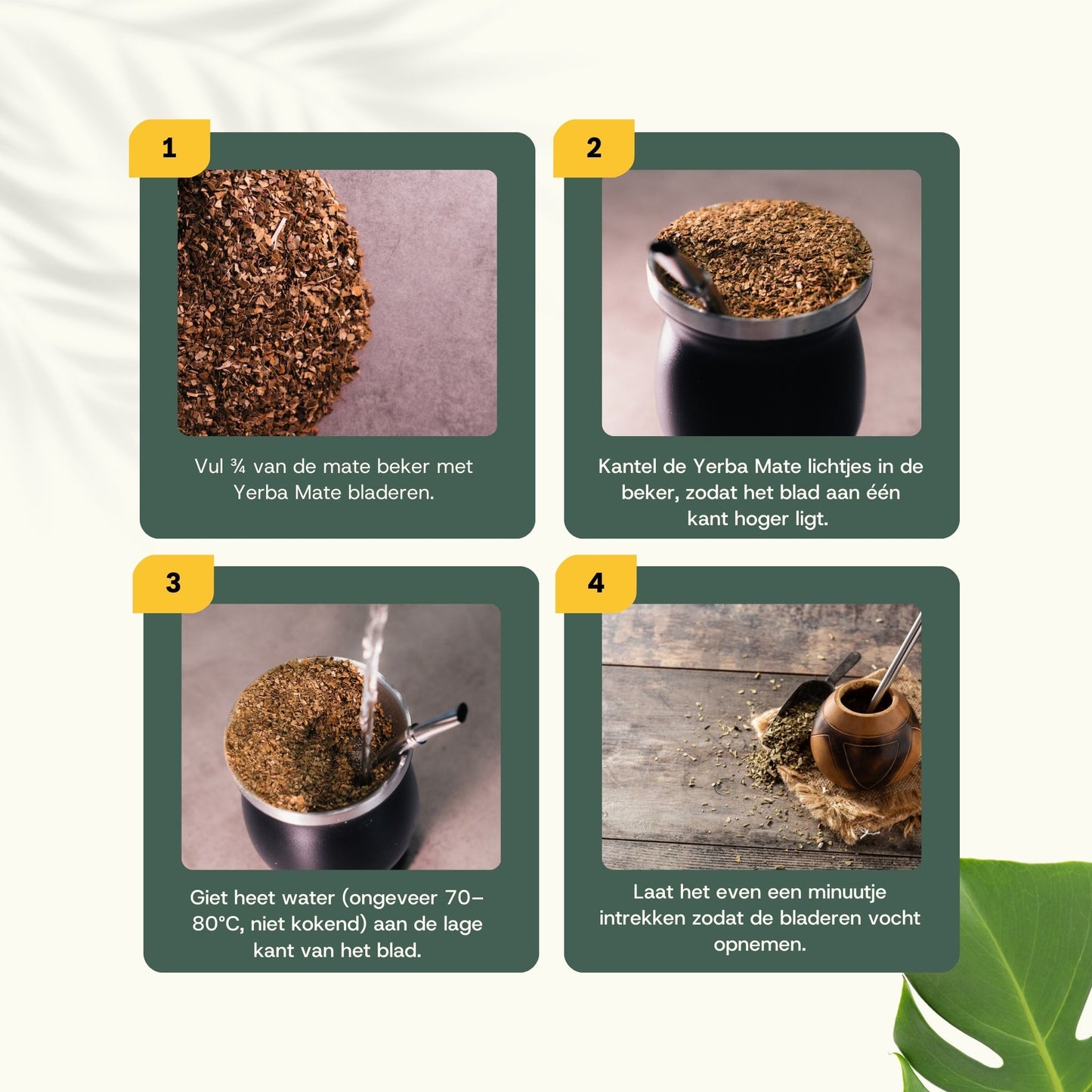 Yerba Mate Tee Set mit Bombilla